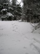 Ghost Ridge-Twin Lakes 076 